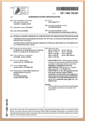 新型专利
