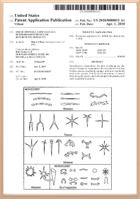 新型专利